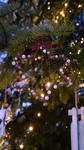 Rozsvícení vánočního stromu 28.11.2021